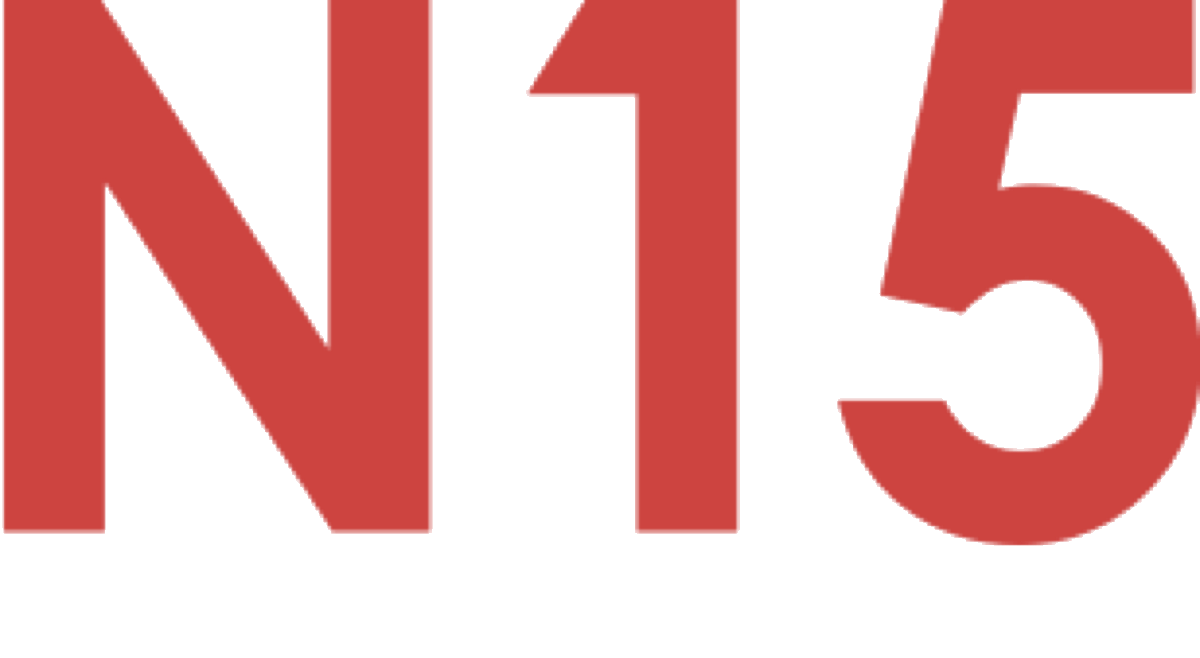 Hardware Accelerator N15